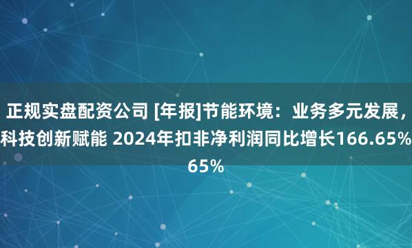正规实盘配资公司 [年报]节能环境：业务多元发展，科技创新赋能 2024年扣非净利润同比增长166.65%