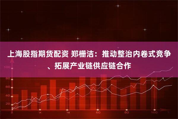 上海股指期货配资 郑栅洁：推动整治内卷式竞争、拓展产业链供应链合作