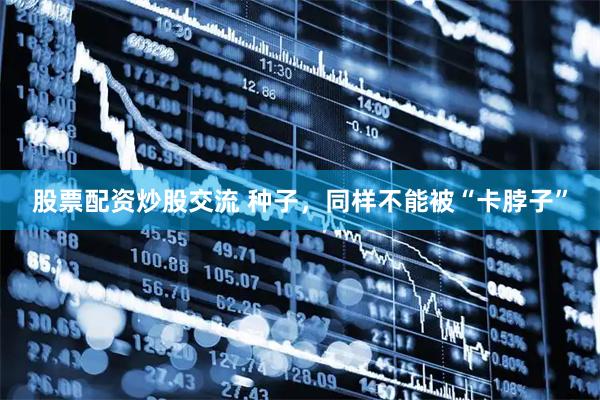 股票配资炒股交流 种子，同样不能被“卡脖子”